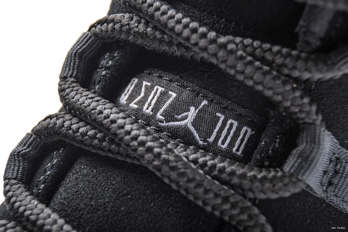 528895-010 Barons Low  Jordan Retro 11 0306